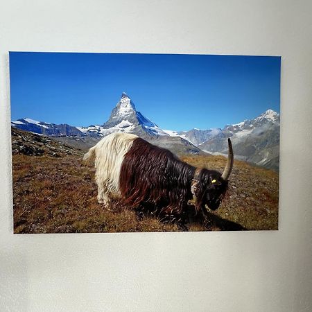 Apartament Haus Vira Zermatt Zewnętrze zdjęcie