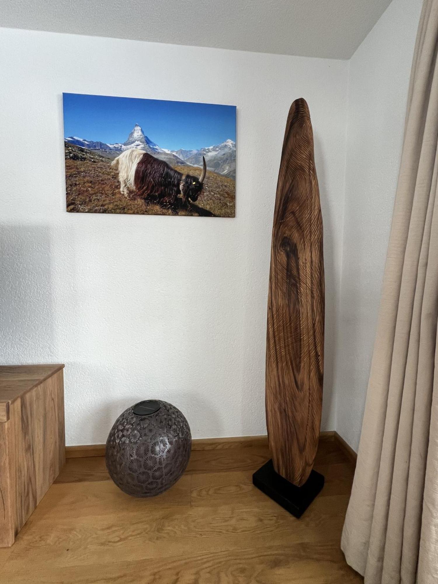 Apartament Haus Vira Zermatt Zewnętrze zdjęcie